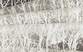 ausht40620