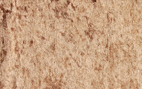 ausht40303